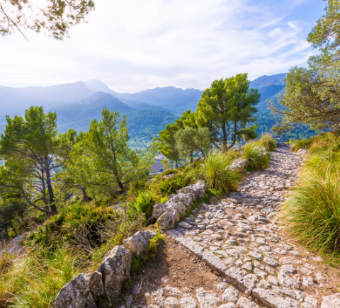 Vista panorámica desde el Puig de Maria